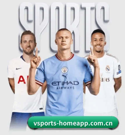 v体育官方网站 APP(VSPORTS)