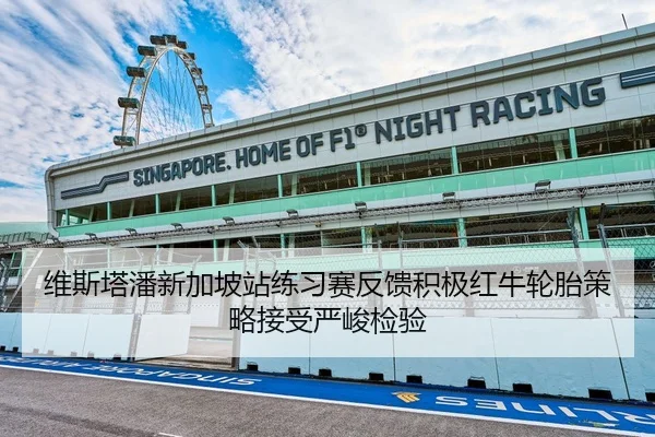 维斯塔潘新加坡站练习赛反馈积极红牛轮胎策略接受严峻检验（VSPORTS）